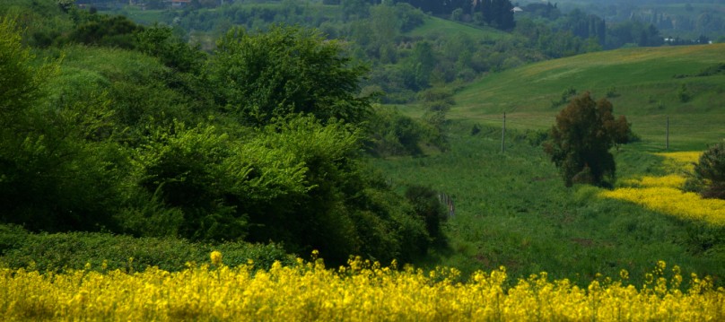 campagna romana