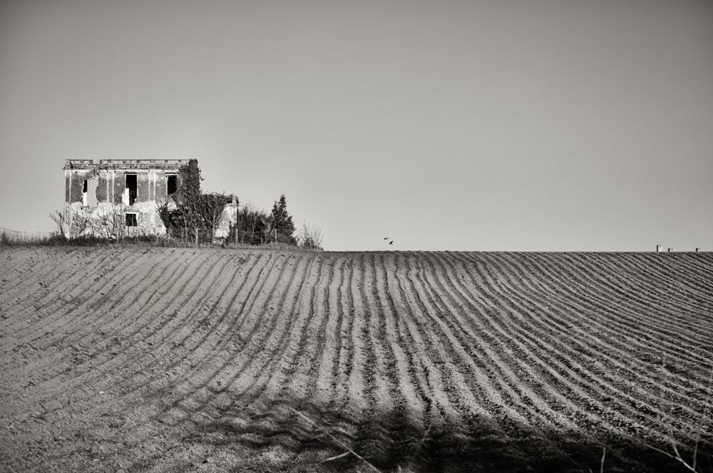 Campagna romana