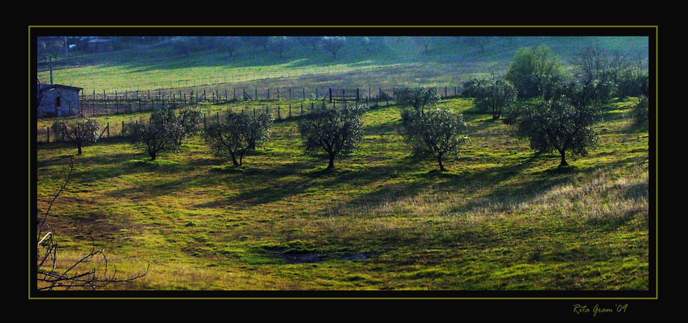 Campagna romana