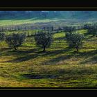 Campagna romana