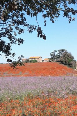 Campagna romana