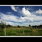 Campagna romana intorno a Lanuvio