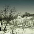 Campagna Romena.