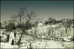 Campagna Romena.