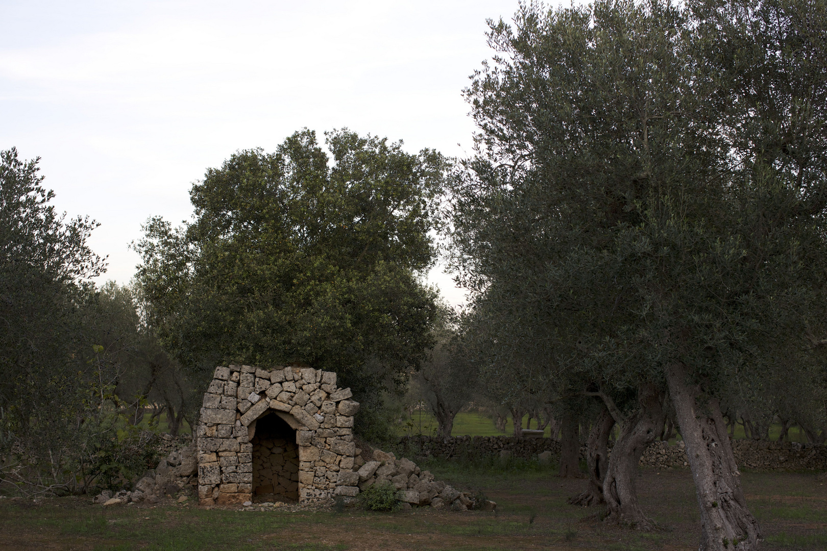 .....campagna salentina.....