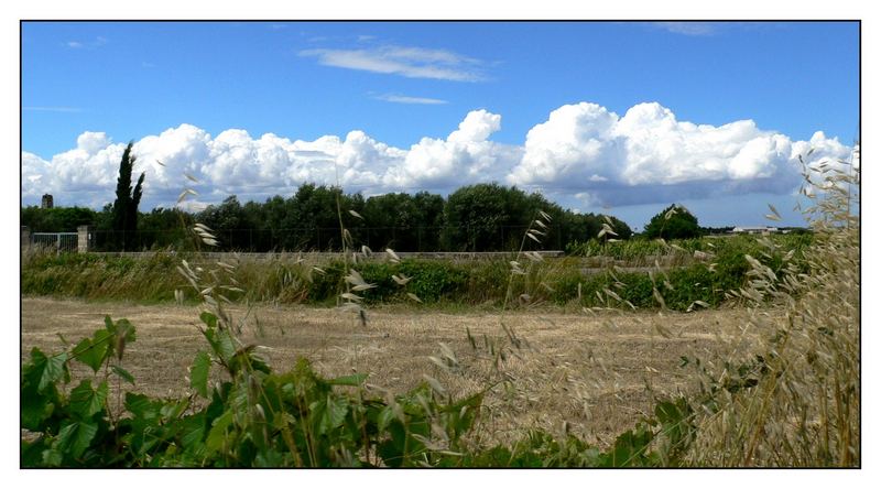 campagna salentina