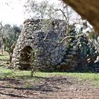 ...campagna salentina..(edilizia rupestre)