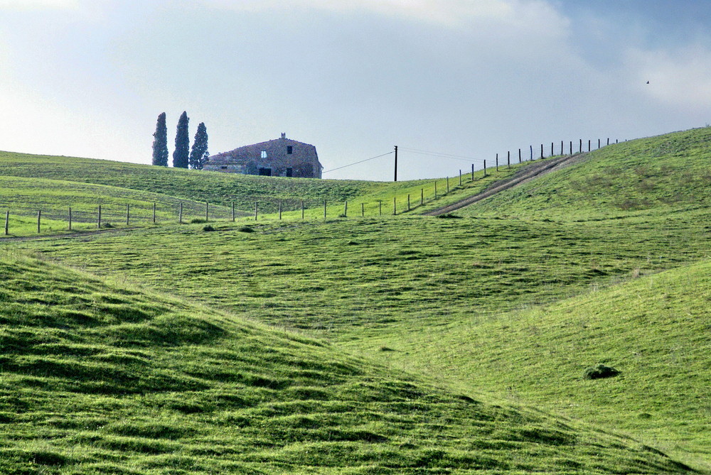 campagna senese 1