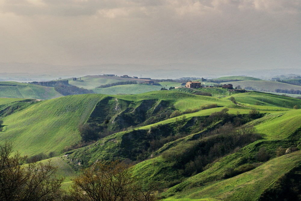 Campagna senese 2