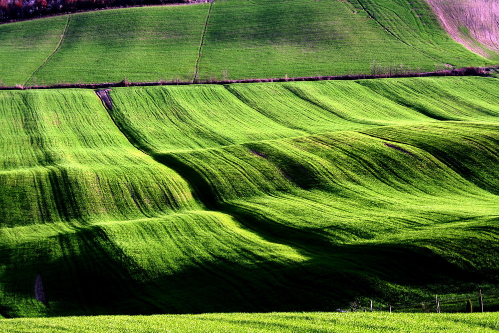 Campagna Senese 2