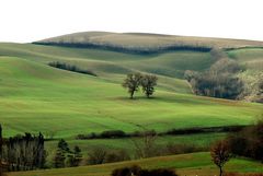 campagna senese