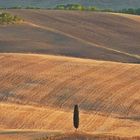 Campagna Senese  