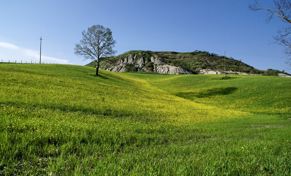 Campagna senese 3