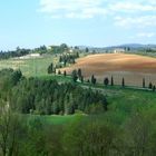 Campagna senese