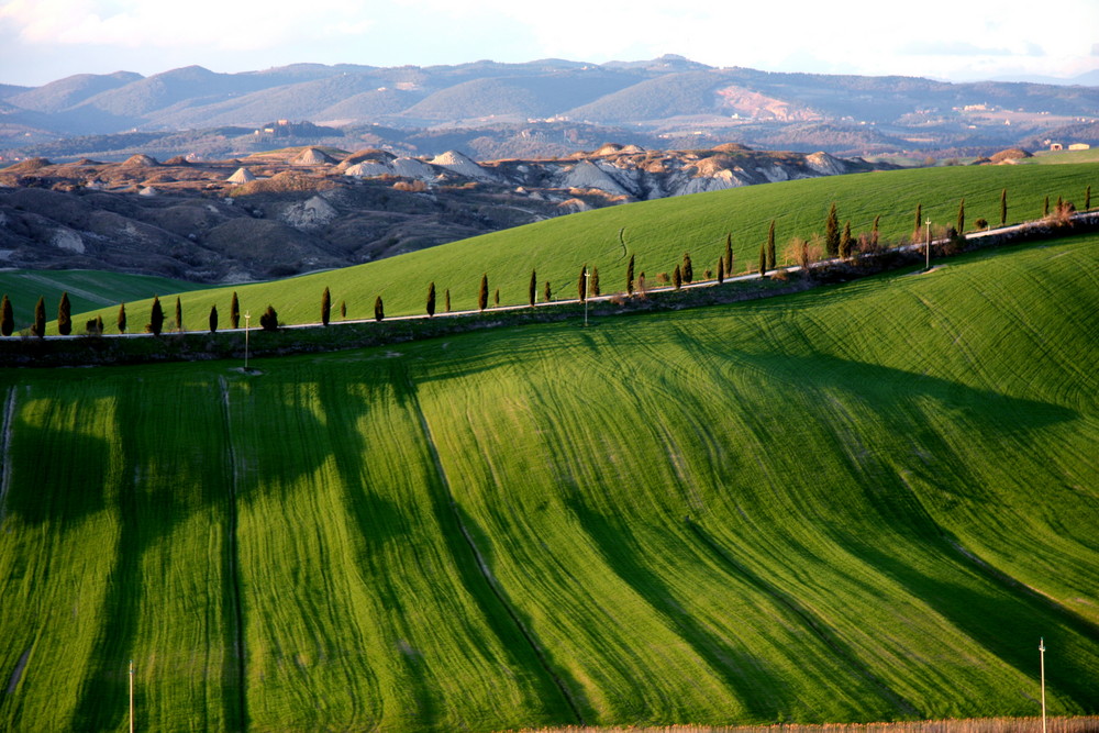 Campagna Senese