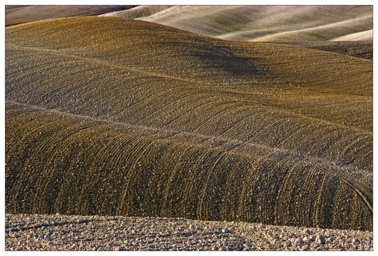 campagna senese