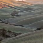 Campagna senese