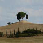 campagna senese