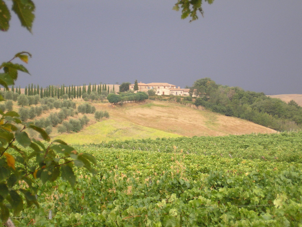 campagna senese