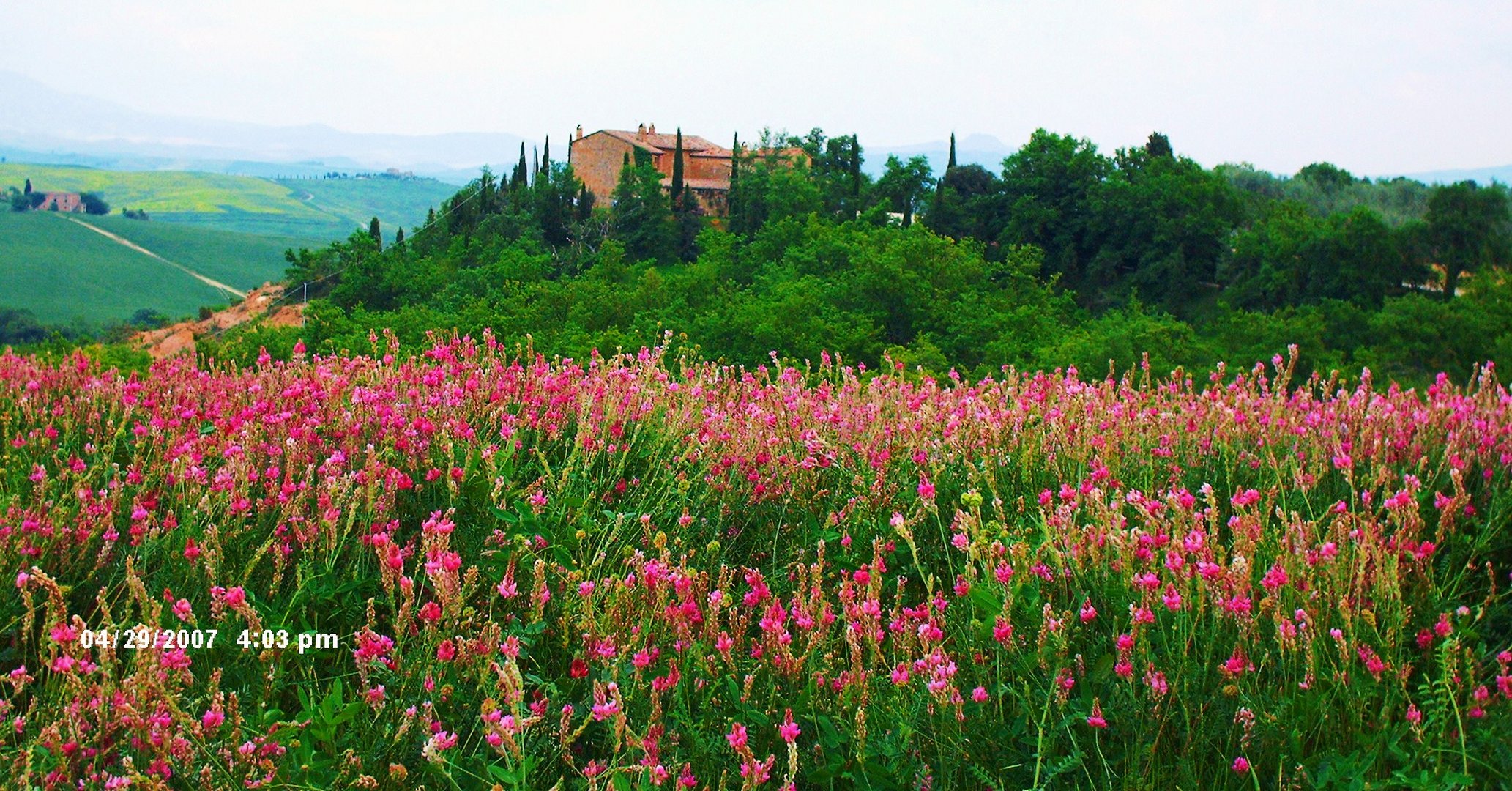 campagna senese