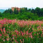 campagna senese