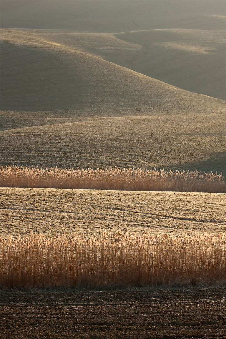 campagna senese