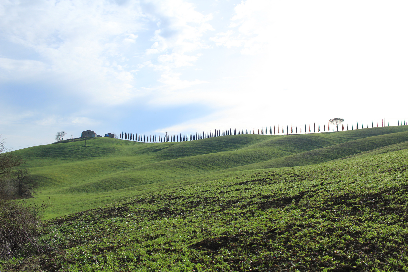 campagna senese