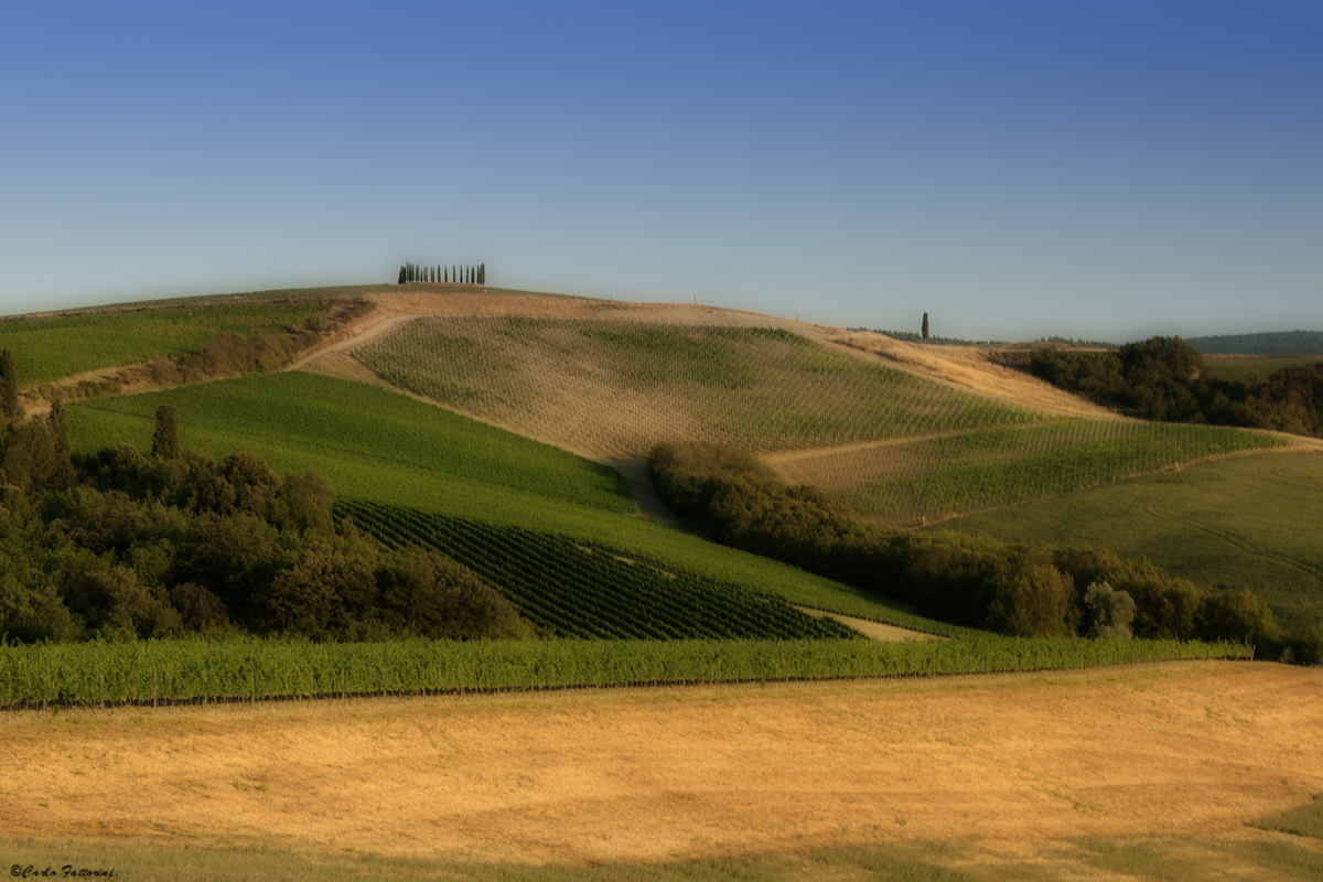 campagna senese