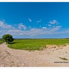 Campagna siciliana