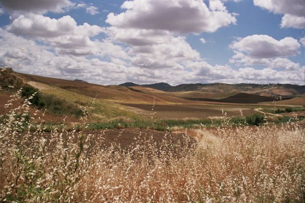 CAMPAGNA SICILIANA