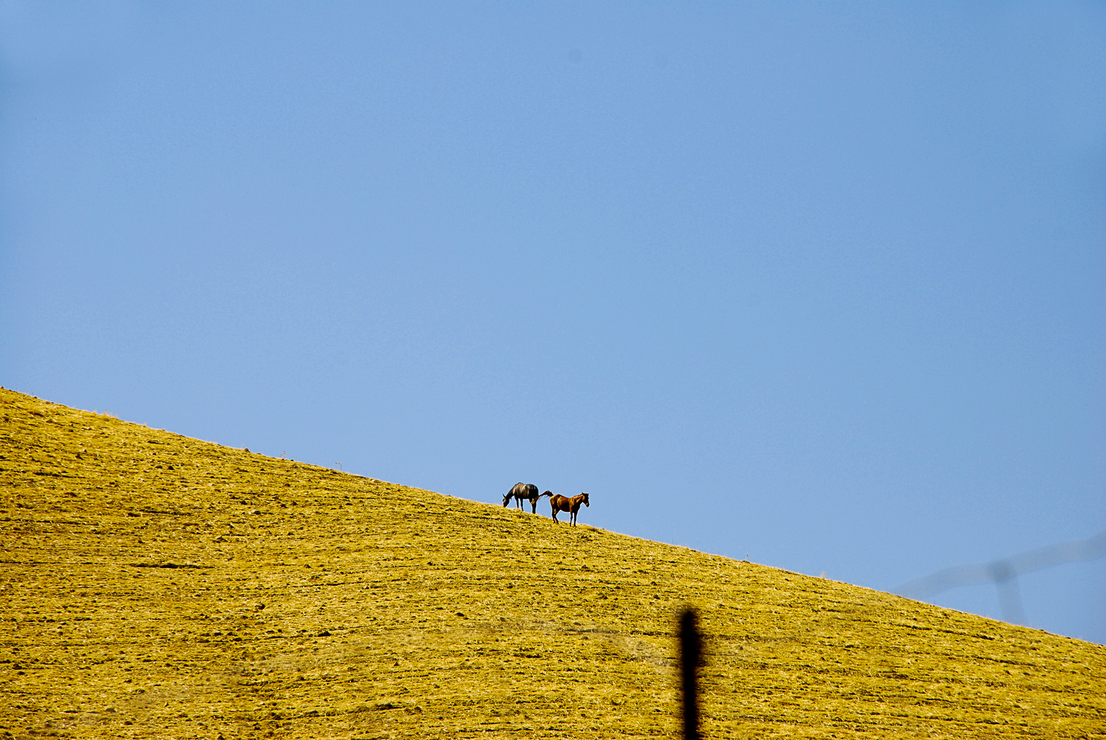 campagna siciliana