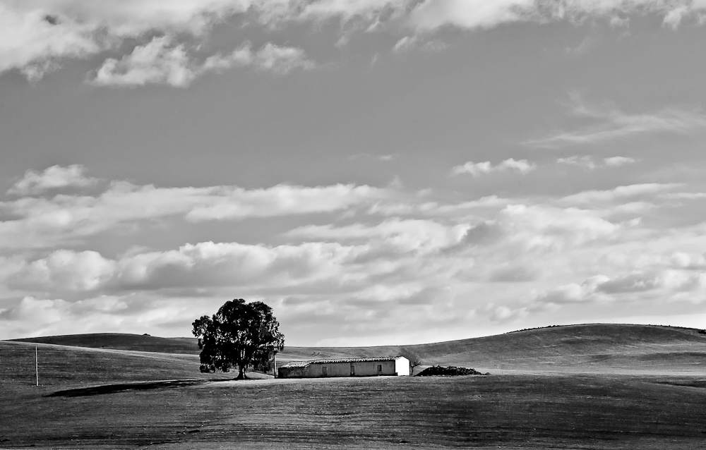 Campagna Sicula ....