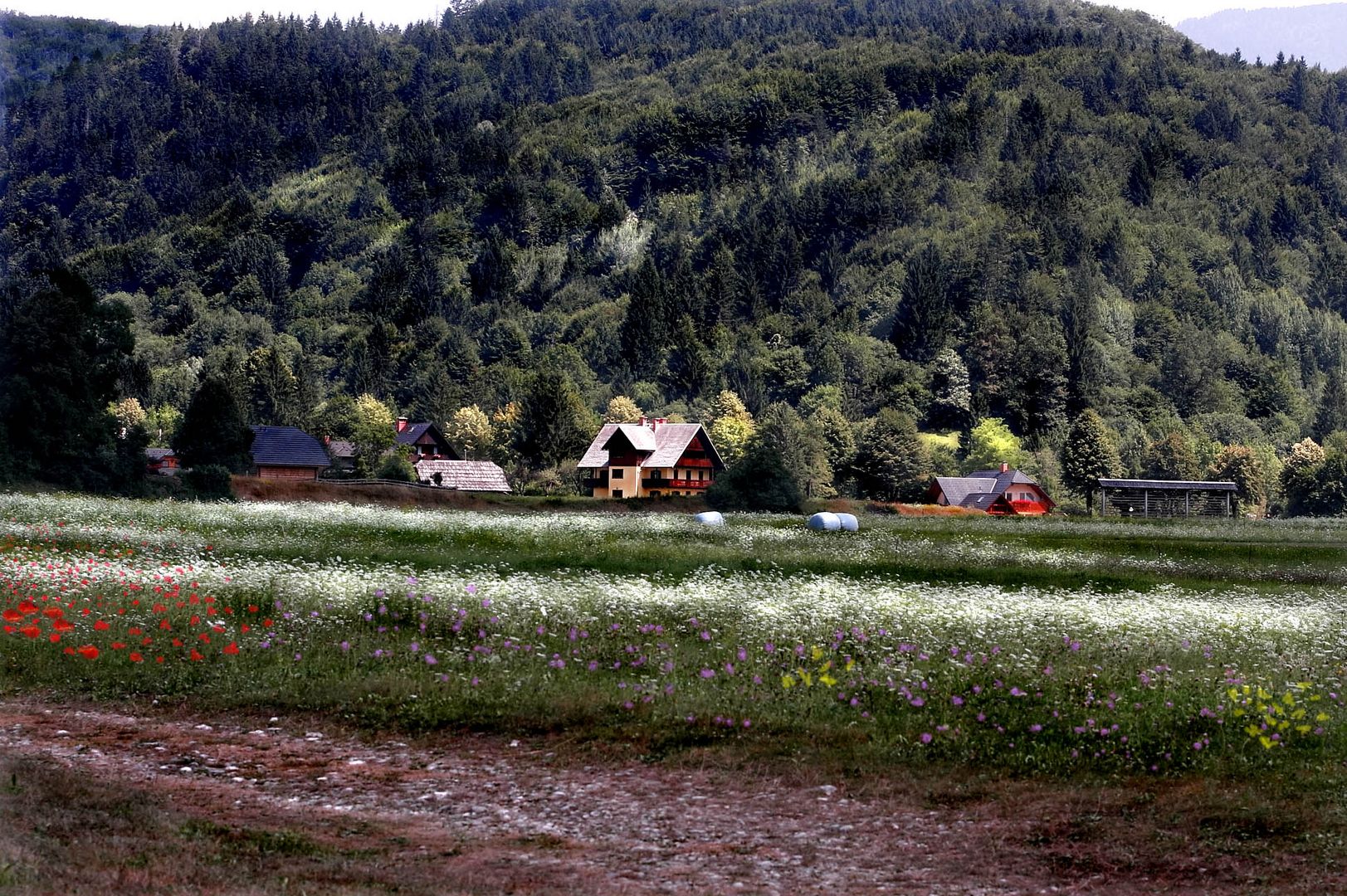 Campagna slovena