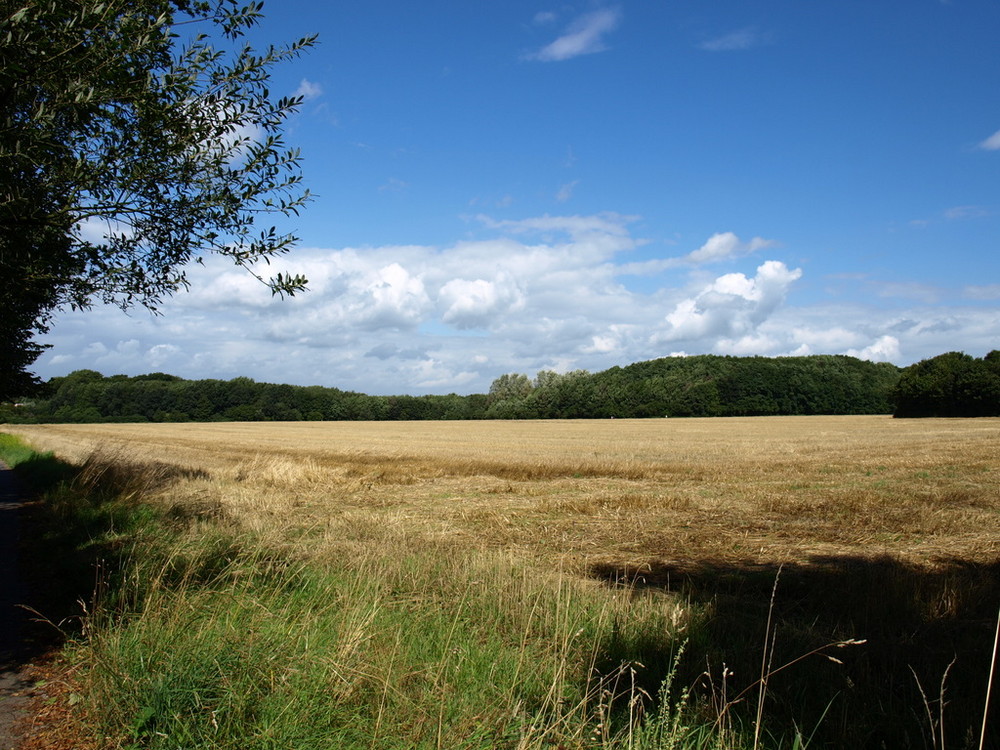 Campagna tedesca