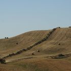 Campagna toscana 2