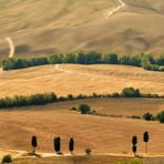 Campagna toscana 2
