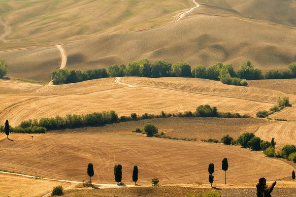 Campagna toscana 2