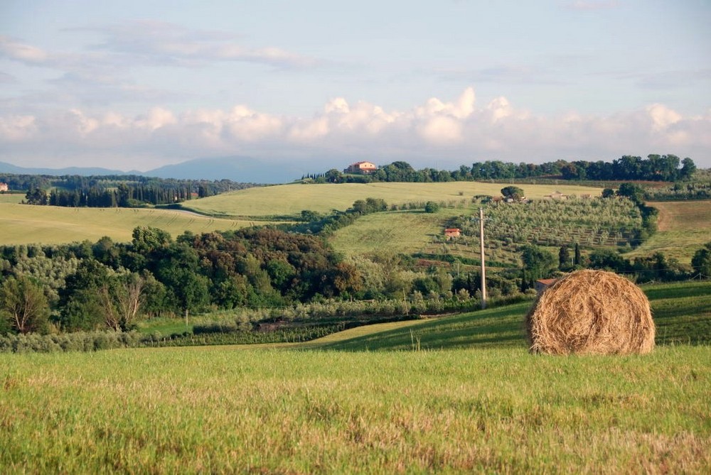 Campagna Toscana 2