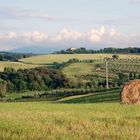 Campagna Toscana 2