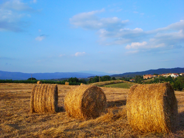 Campagna toscana