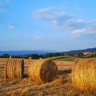 Campagna toscana