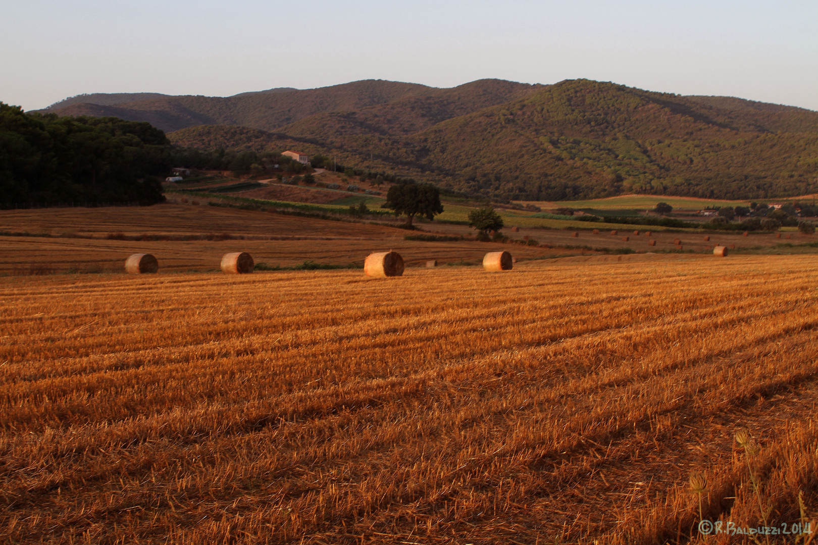 Campagna toscana