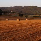 Campagna toscana