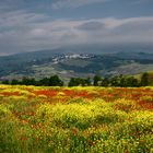 Campagna toscana