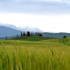 campagna toscana