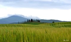 campagna toscana