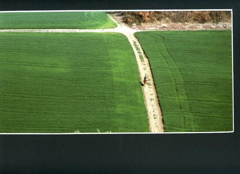 campagna toscana