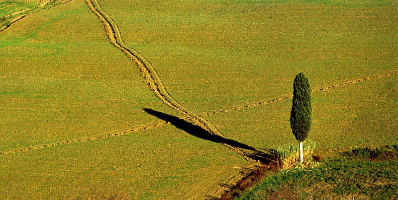 campagna toscana 9