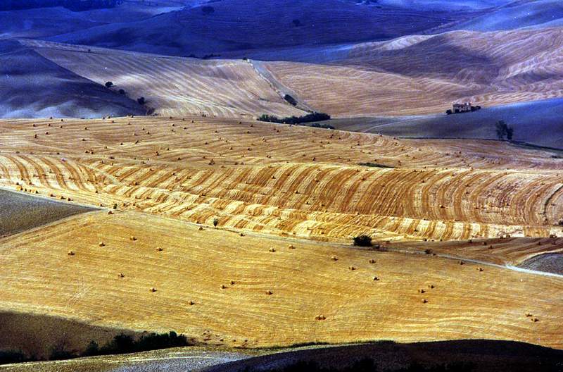 Campagna toscana.