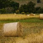 Campagna toscana